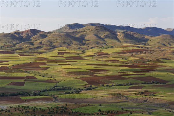 Field landscape in Gercus