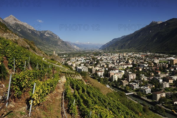 The town of Martigny