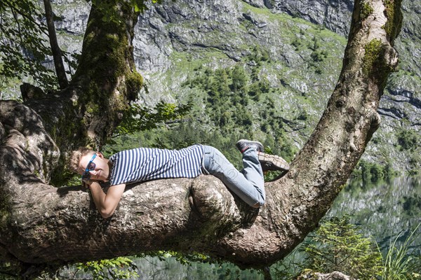 Young Man with sunglasses relaxing on a tree branch