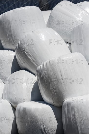 Hay bales in plastic wrap