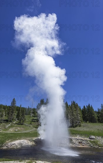 Riverside Geyser