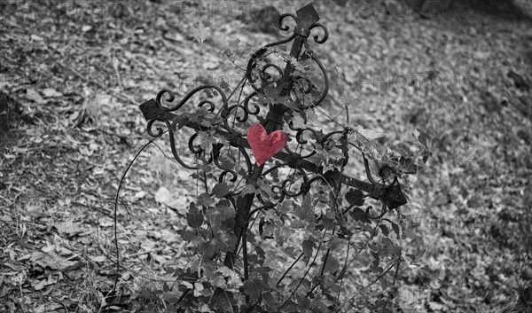 Iron cross with red heart