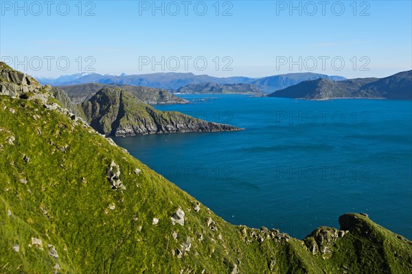 Coastline with coves