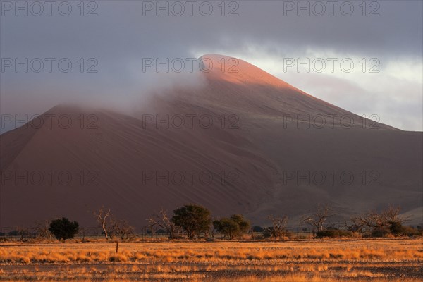 Sand dunes