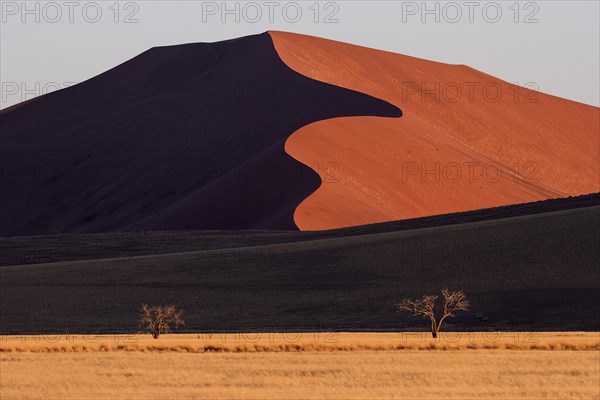 Sand dunes