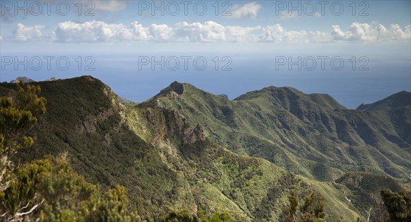 Anaga Mountains