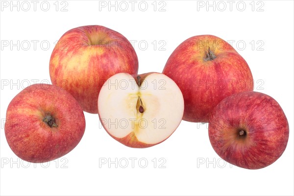 Red Gravenstein apple variety with cut apple