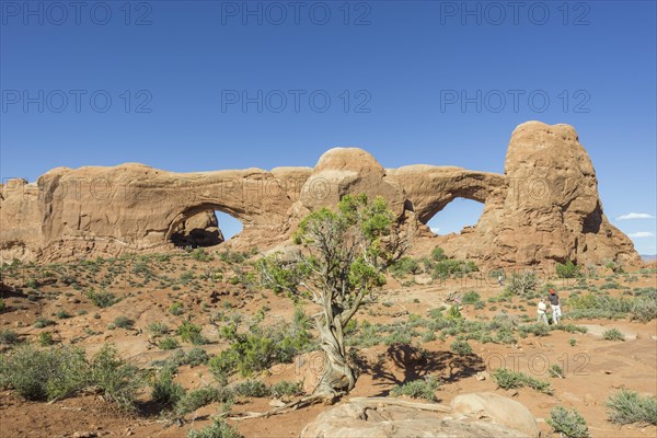 North Window and South Window