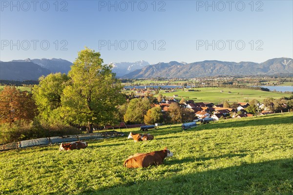 View from Aidlinger Heights across Aidling am Riedsee to Murnau am Staffelsee and the Wetterstein Range