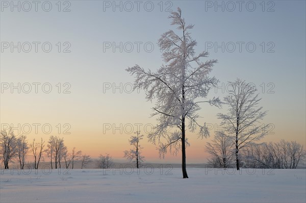 Winter landscape