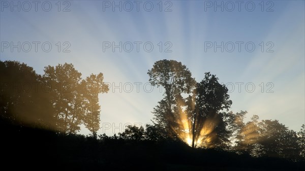 Sunrise behind trees