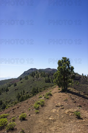 On the 'Ruta de los Volcanes' trail