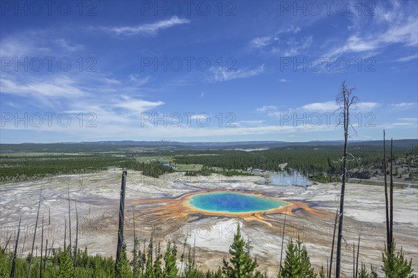 Grand Prismatic Spring