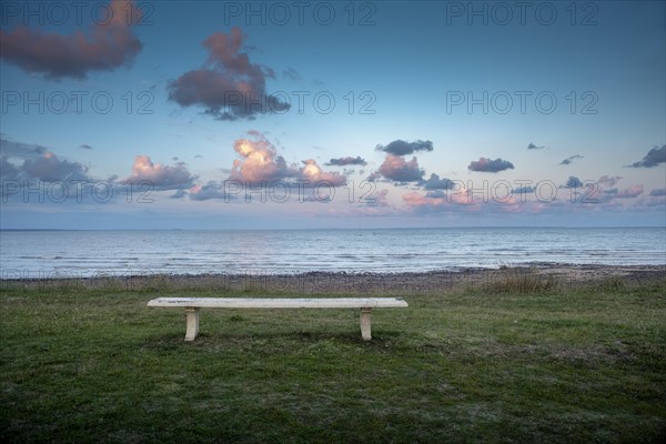 Bench