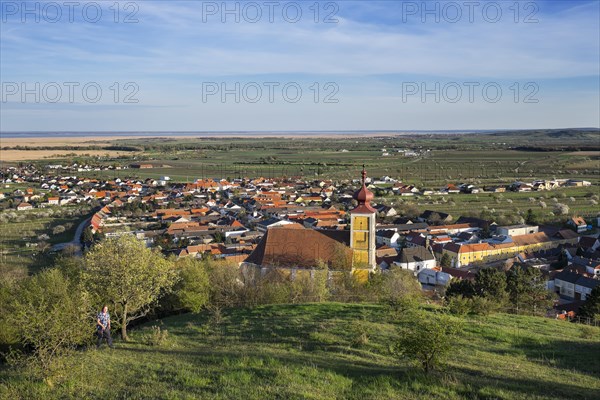 Town View with Mountain Church of St. Martin and Lake Neusiedl
