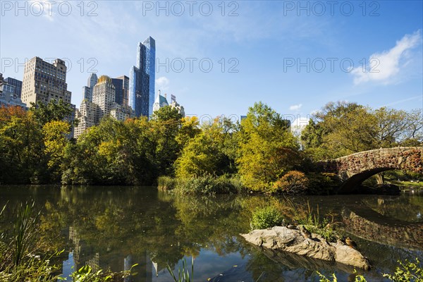 The Pond