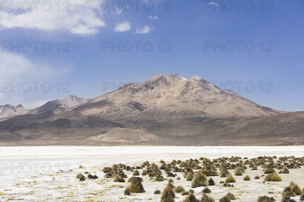 Salt lake Salar de Surire