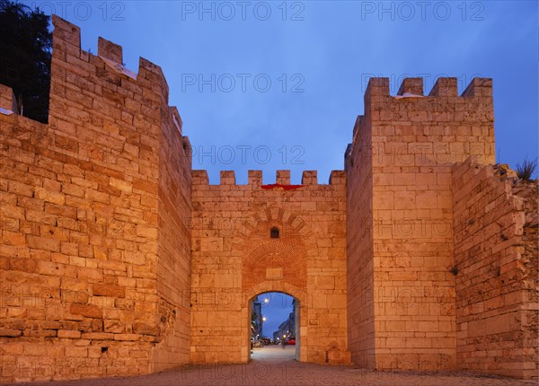 Castle gate in the fortress wall