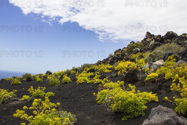 Volcano landschaft