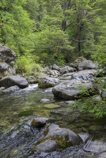 Estero Armenilo brook