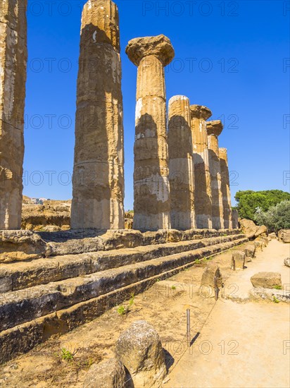 Tempio di Ercole