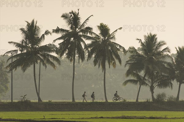 School children on the way home