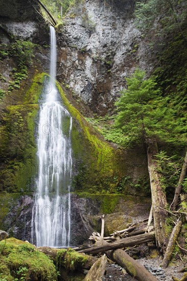 Marymere Falls