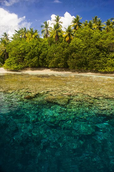 Clear water and an islet in the Ant Atoll