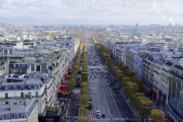 View from the Arc de Triomphe