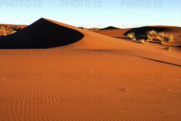 Southern foothills of the Namib desert