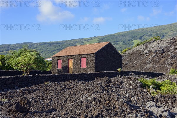 Typical house made of volcanic rocks