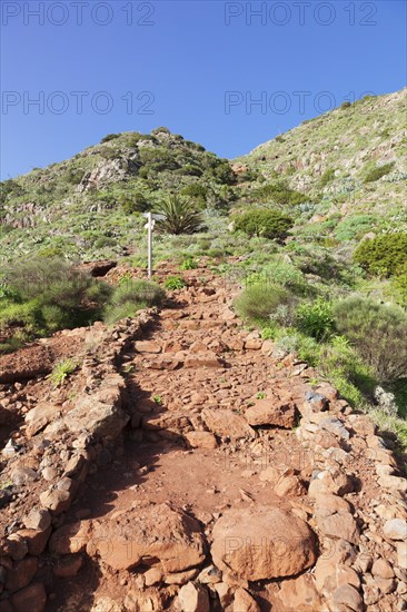 Trail to the Mirador de Abrante