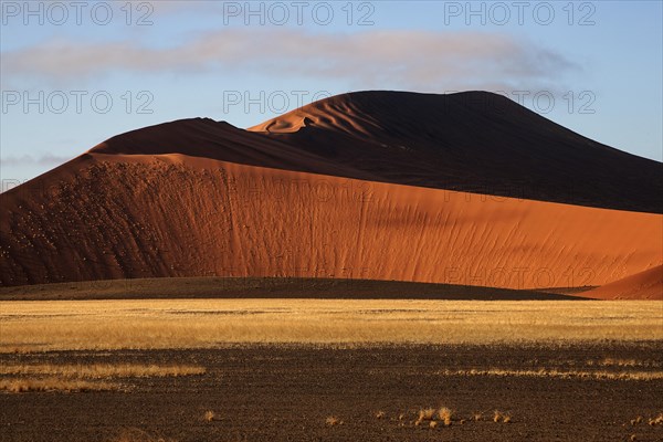 Sand dunes in Sossusvlei