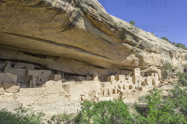 Cliff Palace cliff dwelling