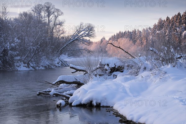 Winter morning