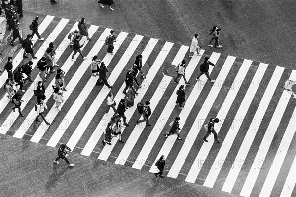 Shibuya crossing