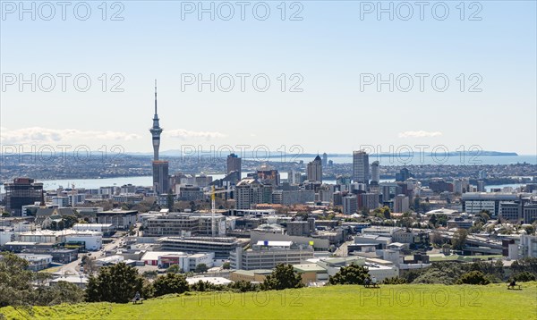 View from Mount Eden