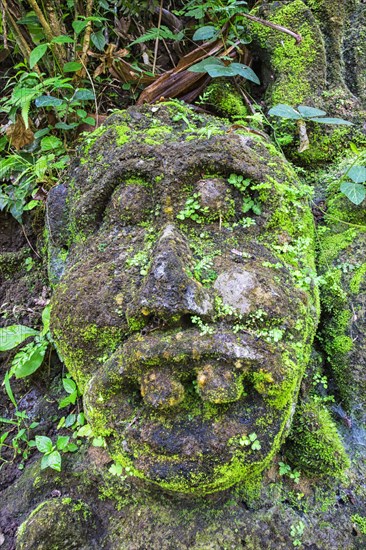 Moss-covered sculpture in the forest