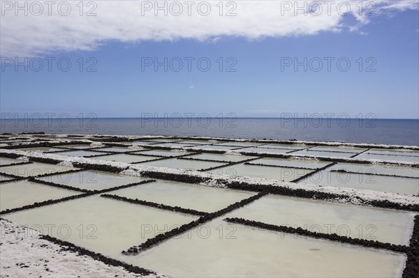 Teneguia saltworks