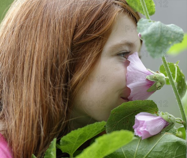 Girl smelling a Hollyhock (Alcea rosea)