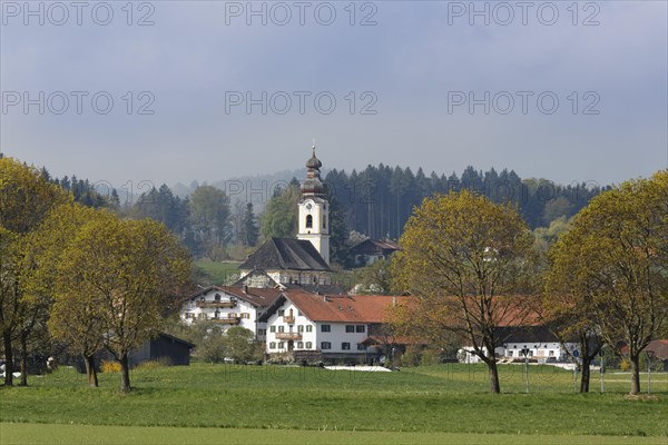 Holy Cross Church