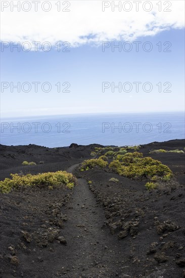 Hiking trail through lava landscape