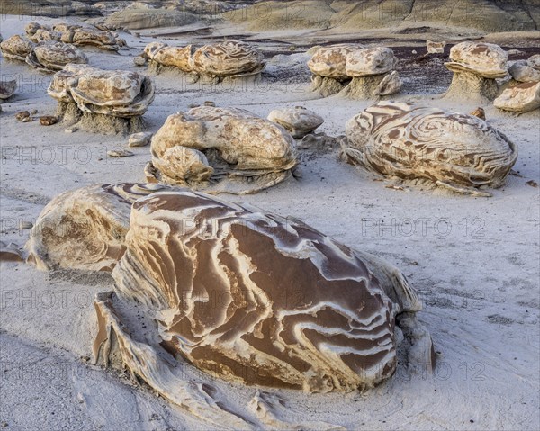Rock formations in the Bisti Wilderness