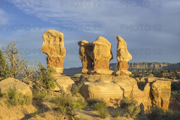 Rock formations in Devil's Garden