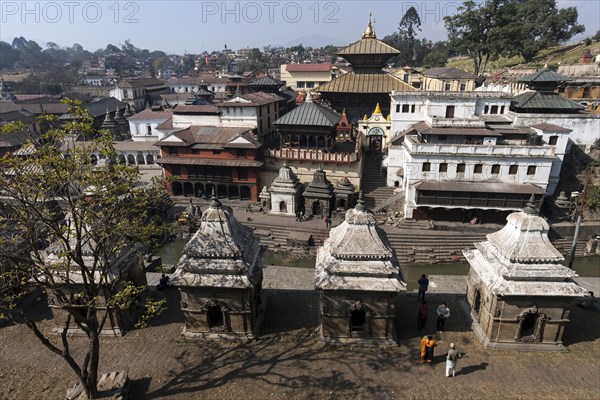 Pashupatinath Temple