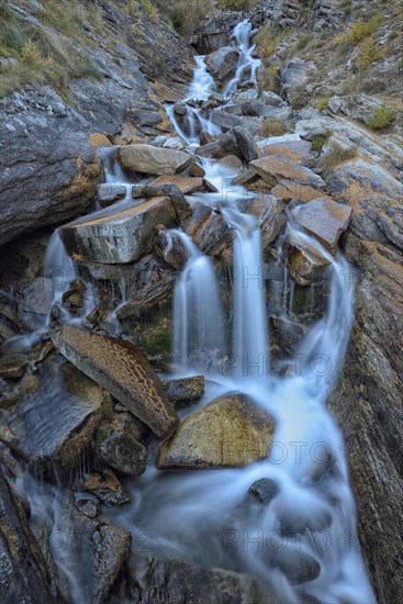 Mountain stream with fallen larch needles on the stones