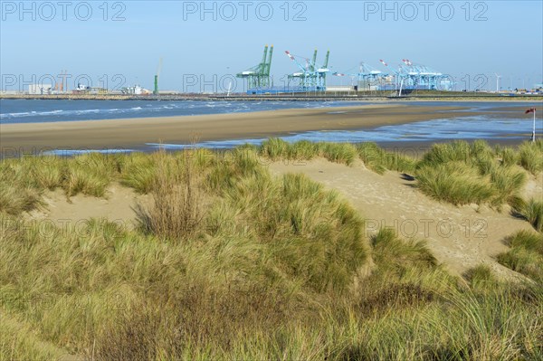 Dunes and Zeebrugge harbour behind