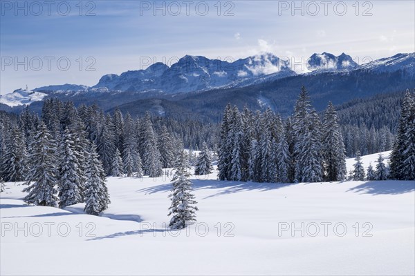 Winklmoosalm alp and Lofer Steinberg mountains in Salzburg state