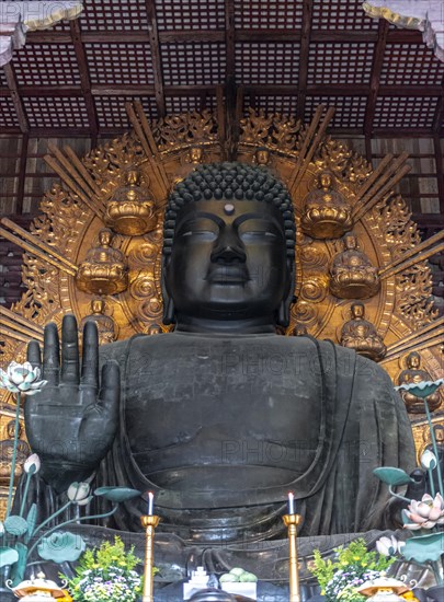 Big Buddha Statue in Todaiji Temple