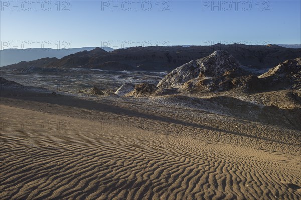 Sand dune in the Valle de la Luna or Valley of the Moon in the evening light
